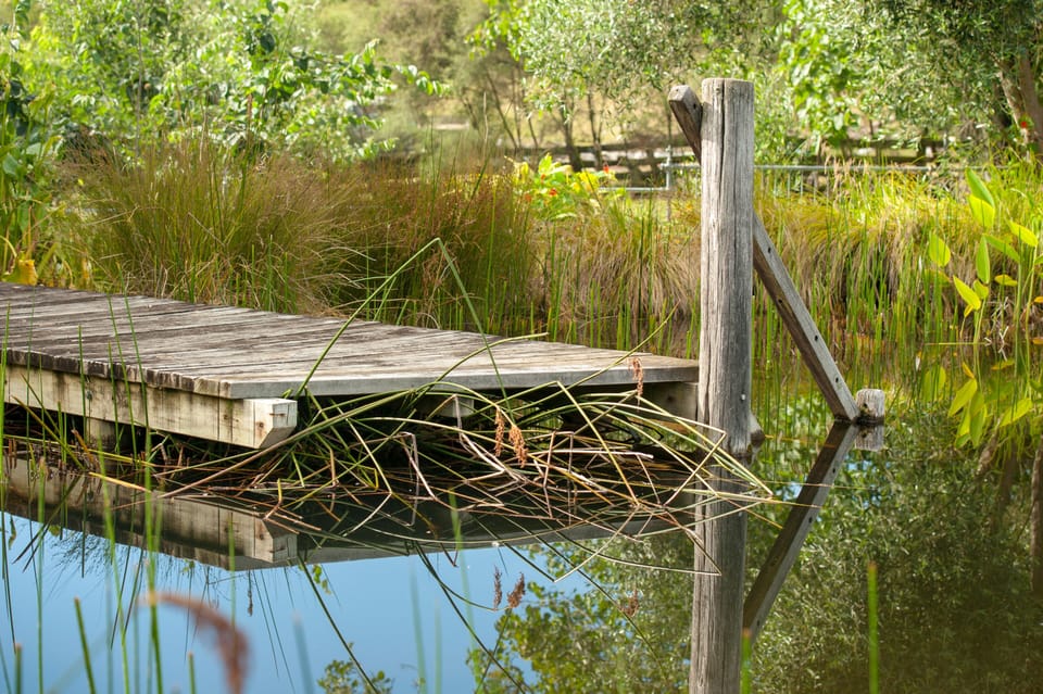 Swimming Pond