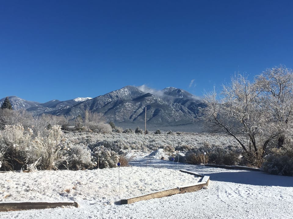Snowy Morning