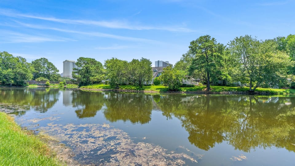 Back Yard Lake