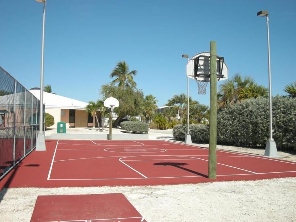 Basketball court