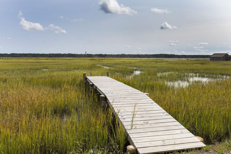 Enjoy your own private dock just across the road for launching your kayaks.
