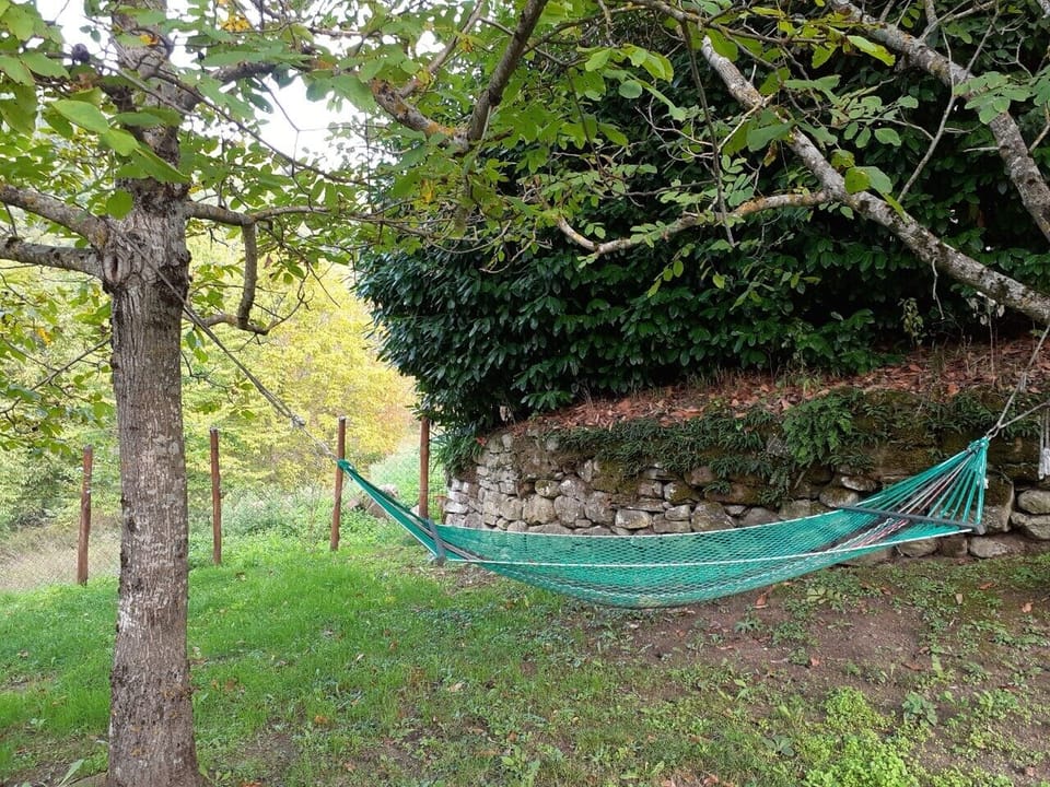  the hammock under the walnut tree