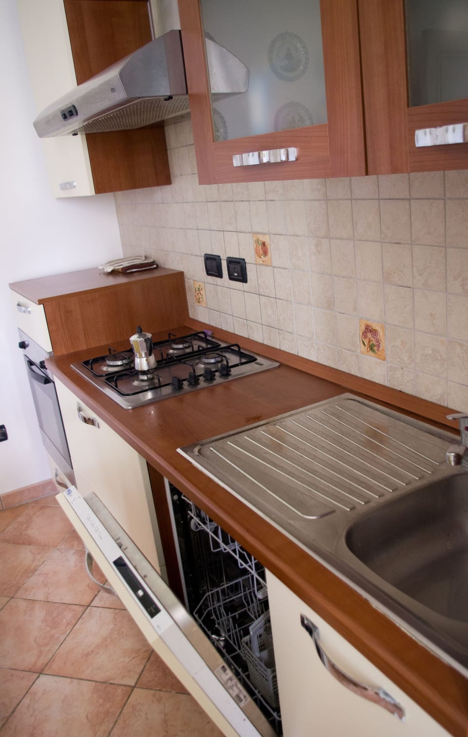 detail of kitchen/dishwasher