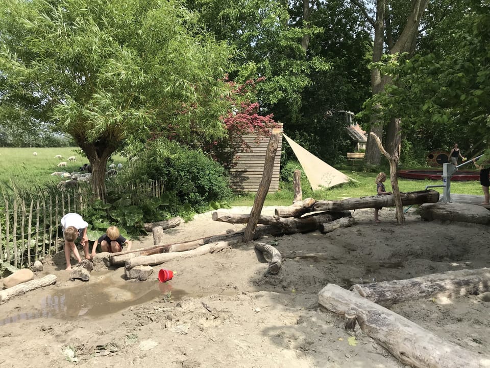 Children's area