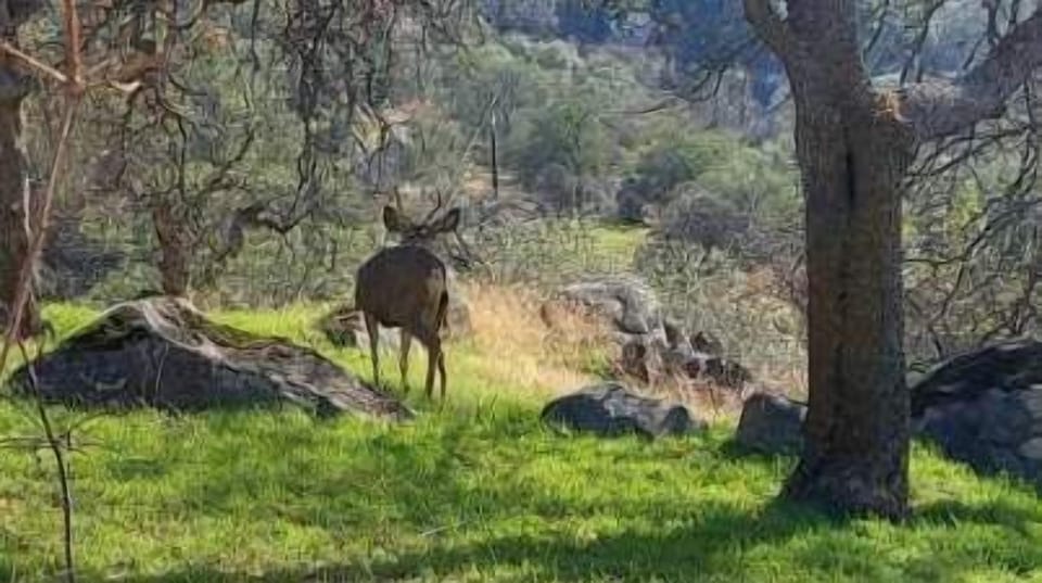 Also seen in the front yard! 