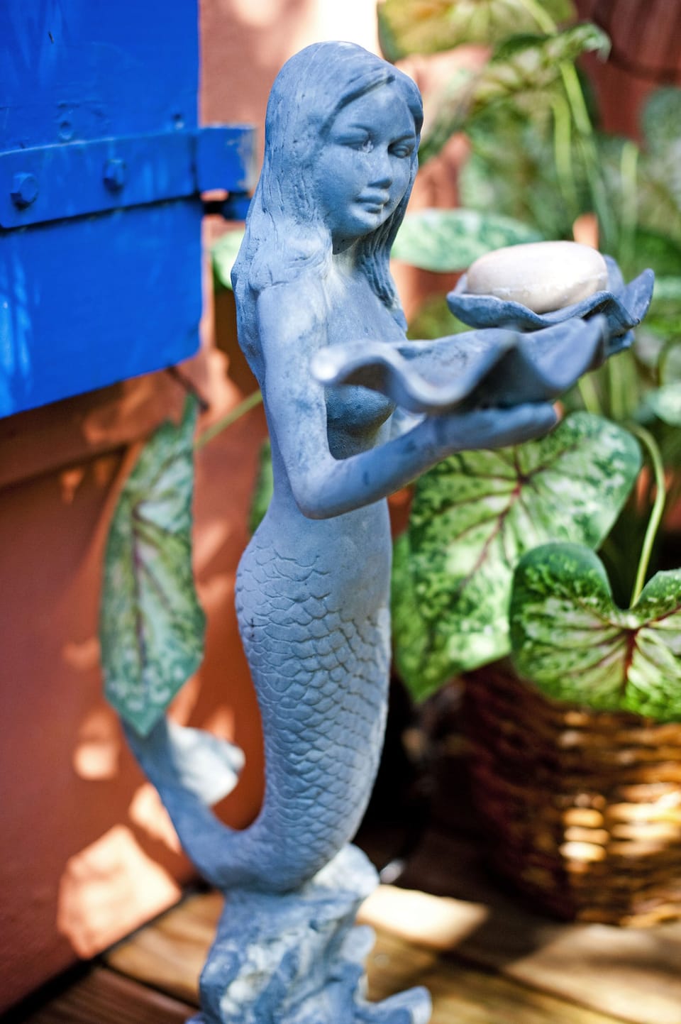 The littlest mermaid!