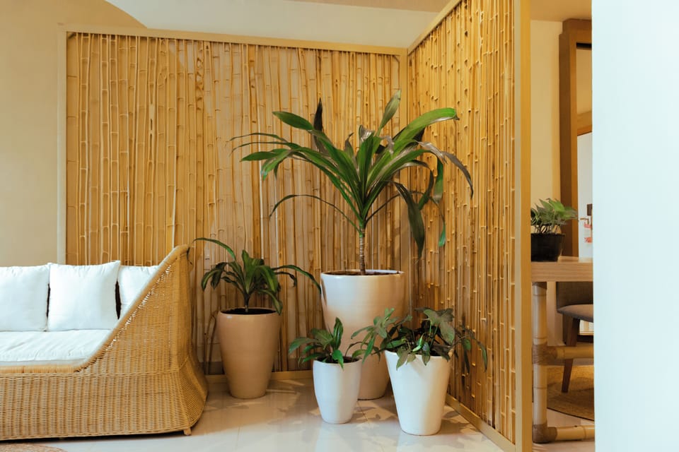Deluxe Suite | Minibar, in-room safe, desk, laptop workspace