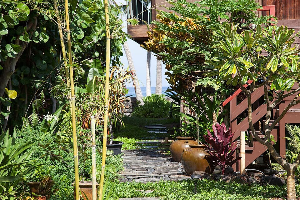 Garden to Ocean view