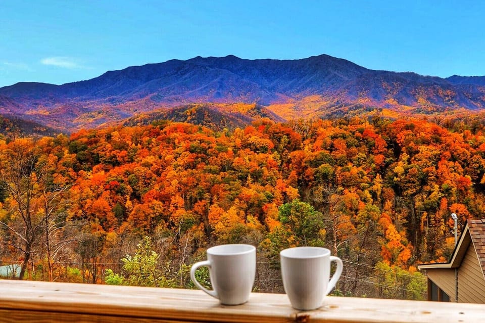 Beautiful fall colors you wouldn't want to miss