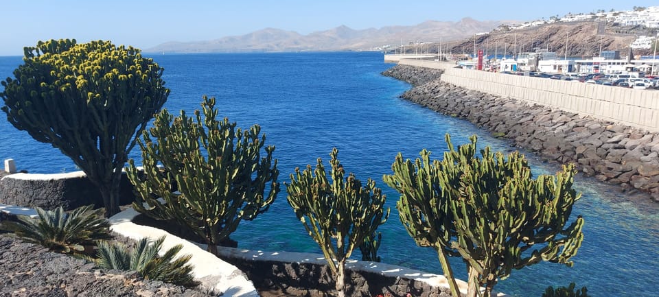 Visit the harbour for great restaurants   only a short walk away