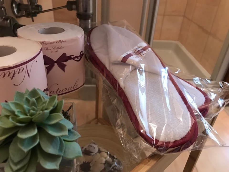 Shower, rainfall showerhead, free toiletries, hair dryer