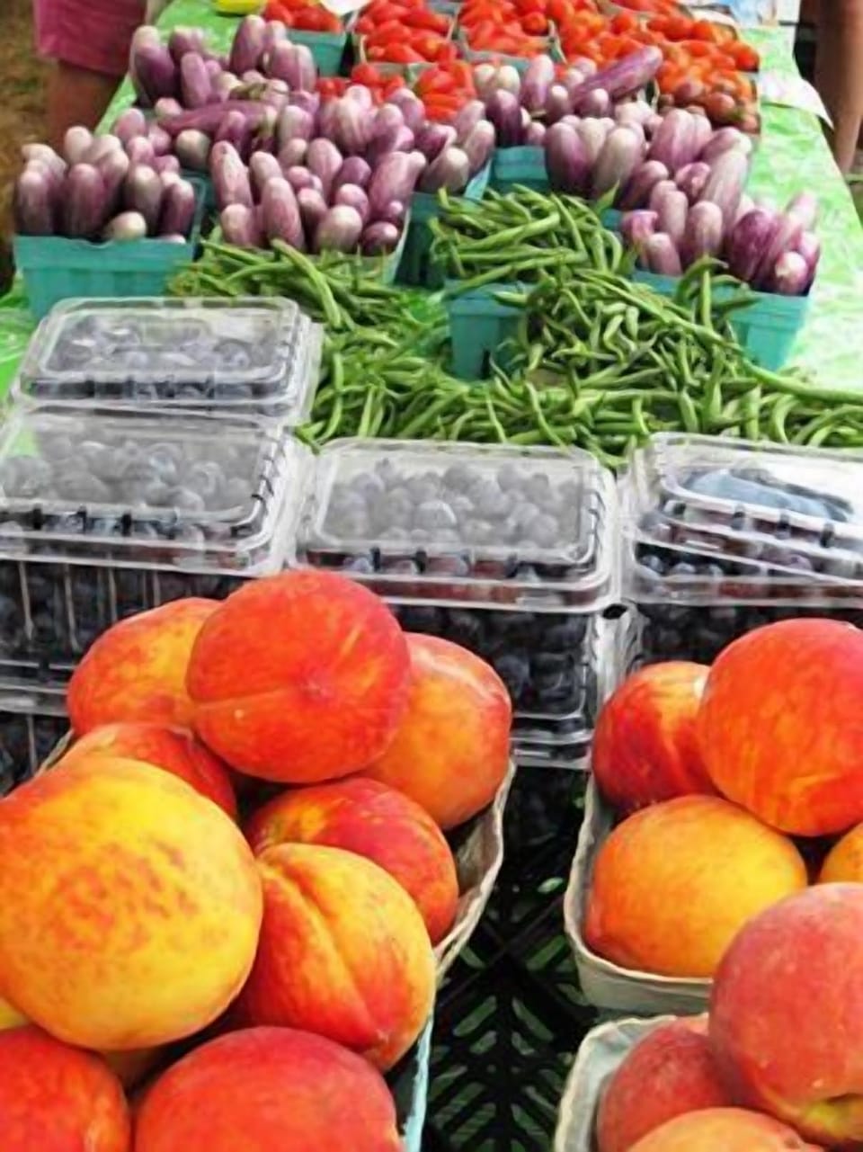 JERSEY FRESH on sale Wednesdays just 1/4 block fr house on Tabernacle grounds.
