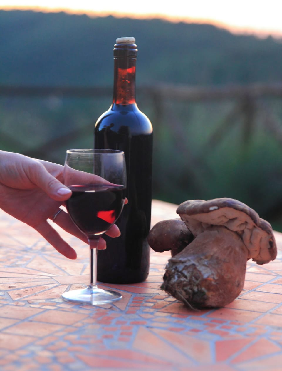 WINE OK, BUT COOK THE MUSHROOM FIRST!