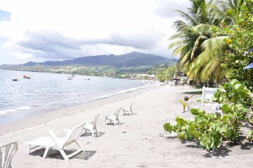 Beach view