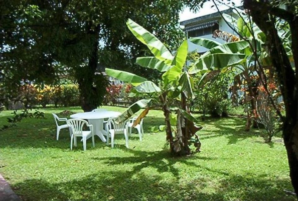 Garden, Park