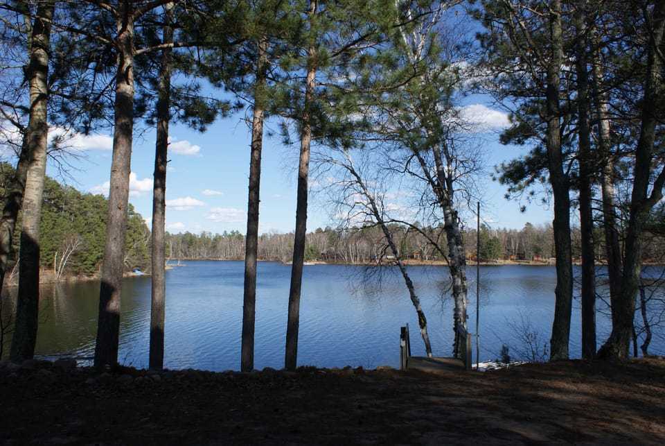 Scenic view of the lake