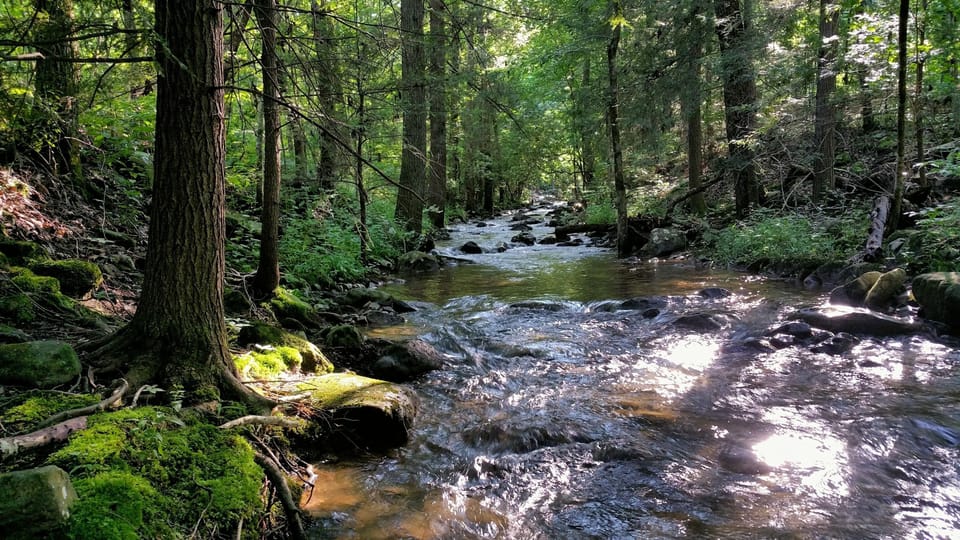 Creek runs full length of the property 