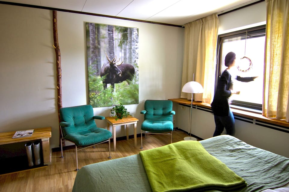 Basic Double or Twin Room | Individually decorated, individually furnished, iron/ironing board