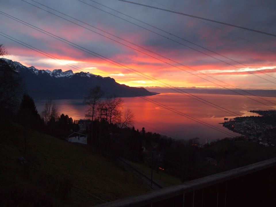 View from property