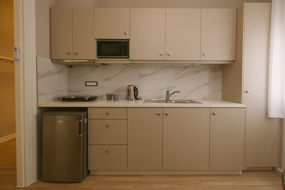 Apartment | Private kitchenette | Full-size fridge, microwave, stovetop, electric kettle