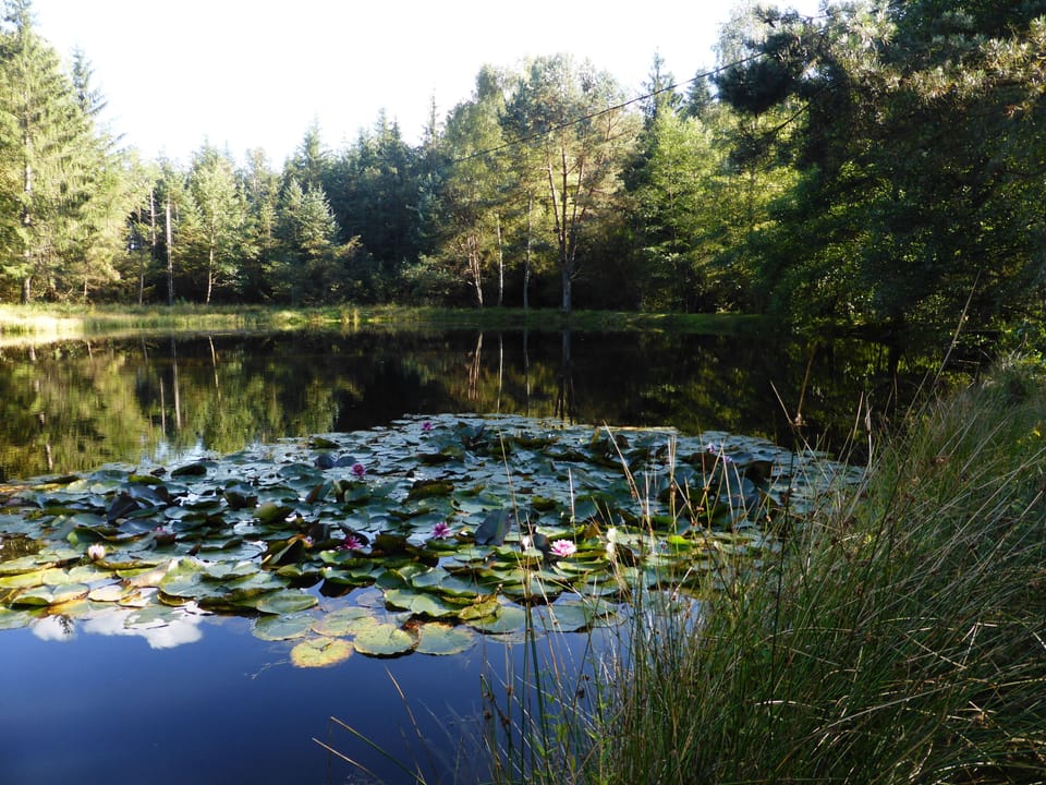 Lake