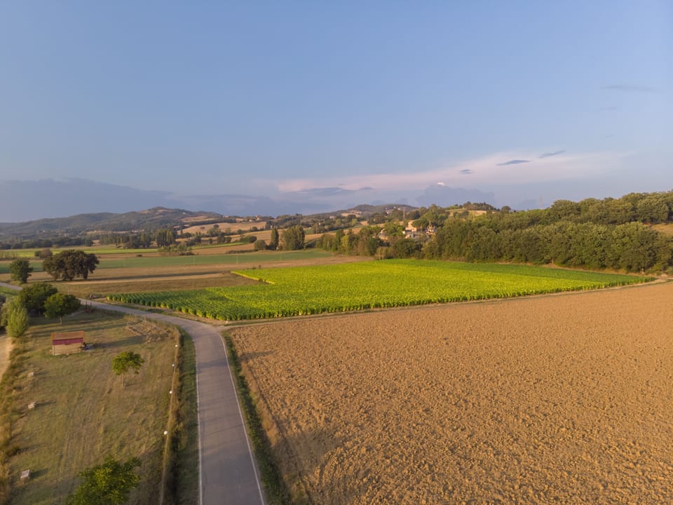 View from property