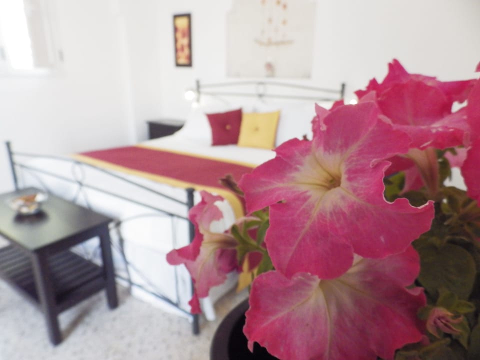 Double Room | Minibar, in-room safe, individually decorated, individually furnished