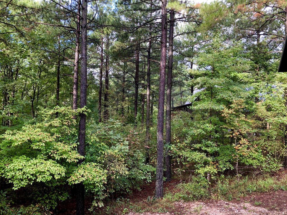 1.2 acres of forest make backyard your private getaway