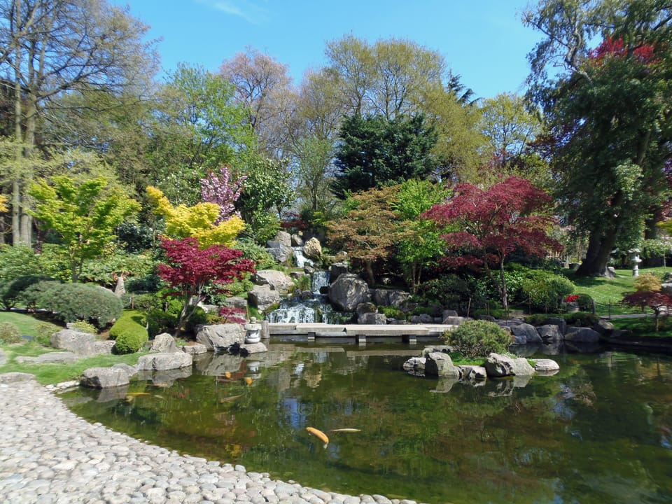 Japanese Garden - Holland Park