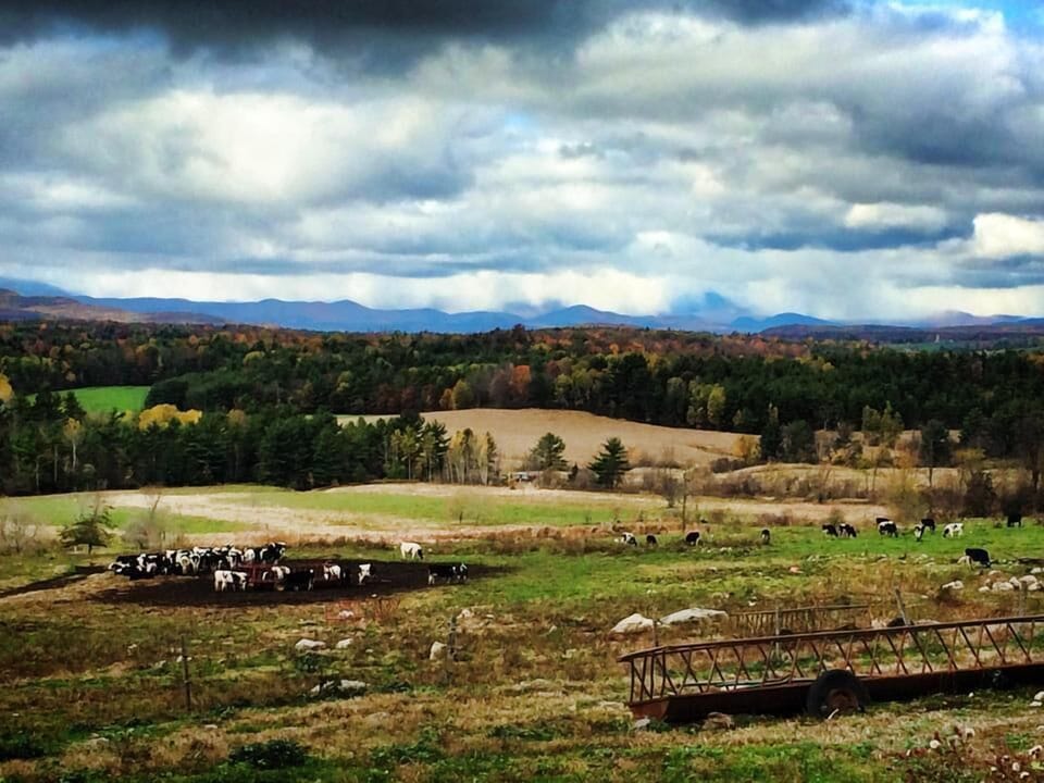 Nearby farms in autumn.