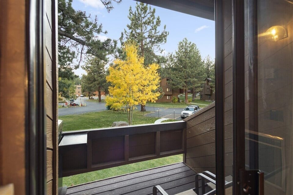 View from the deck
