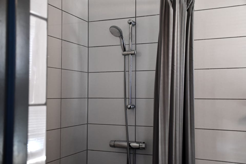 Twin Room | Bathroom | Shower, free toiletries, hair dryer, towels