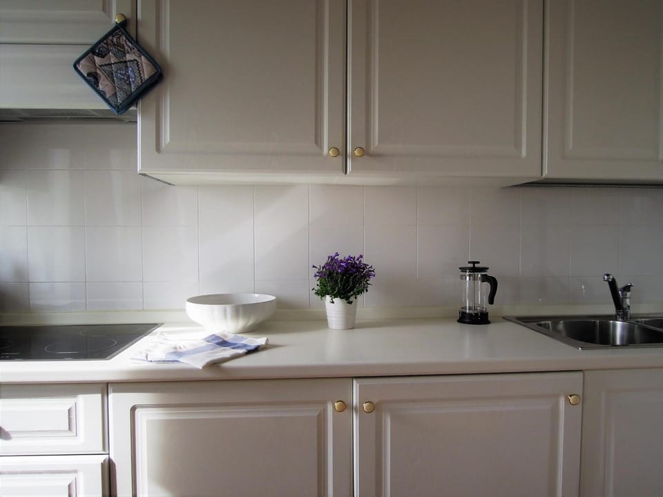Fridge, stovetop, dishwasher, coffee/tea maker