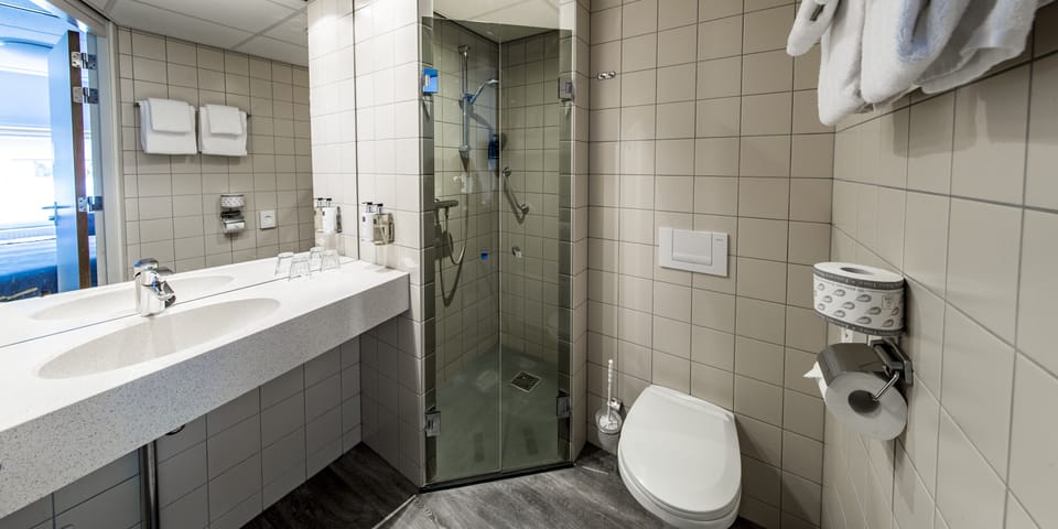 Premium Twin Room | Bathroom | Shower, designer toiletries, hair dryer, towels