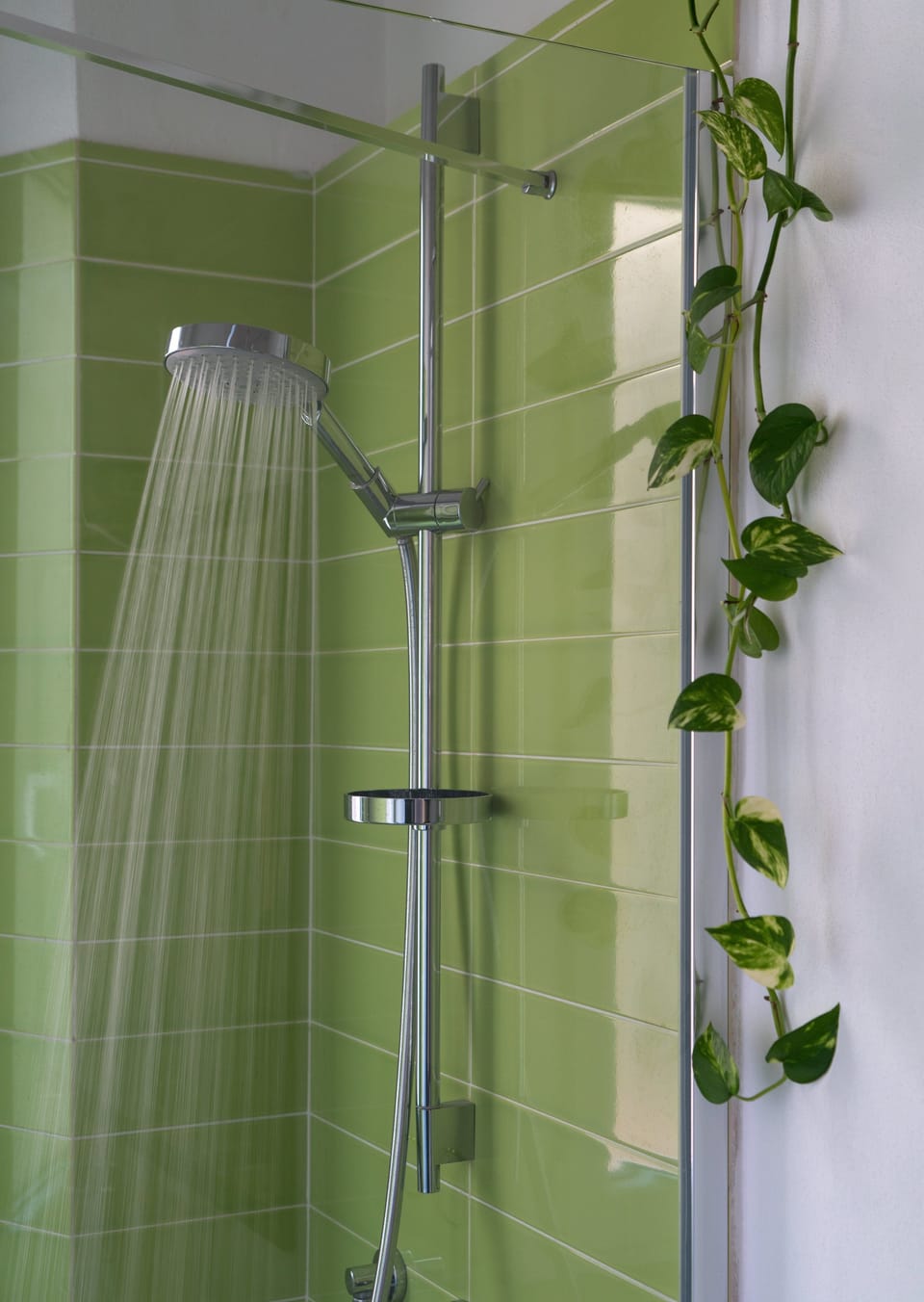 Double Room (60s) | Bathroom shower