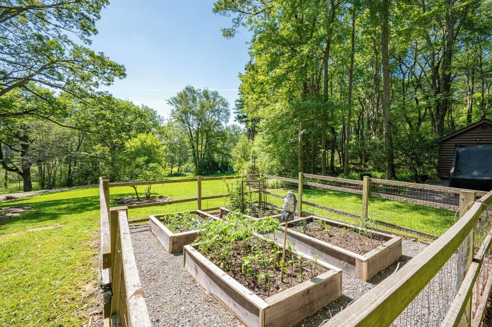 Guests are welcome to tend and enjoy the garden produce during their stay!