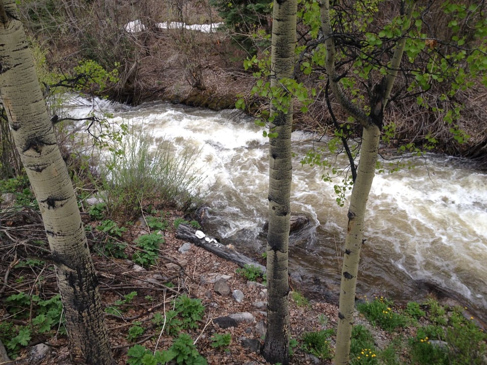Spring runoff in the backyard
