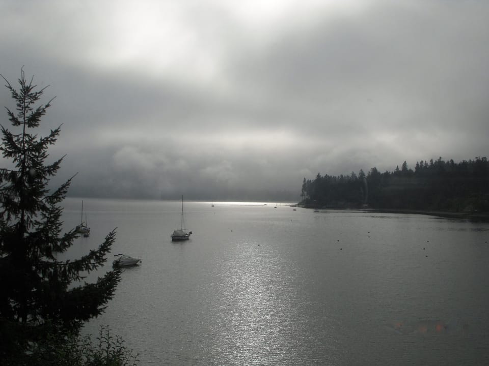 View from deck