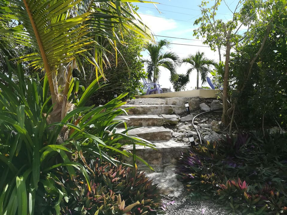 Steps to access the pool.