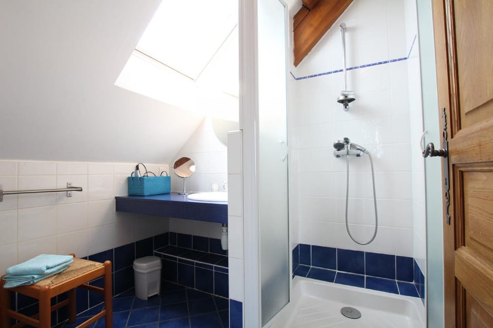 Double Room, Mountain View (Bleue) | Bathroom | Shower, rainfall showerhead, hair dryer, towels