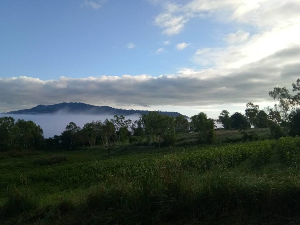 Land view from property