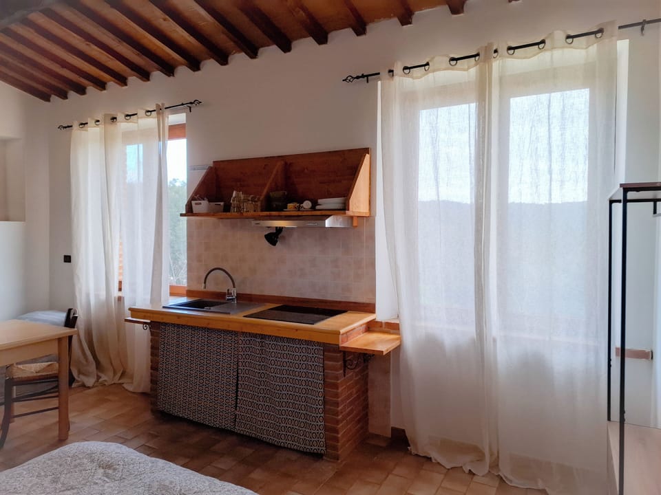 Panoramic Studio, 1 Bedroom, Pool View | Private kitchen | Full-size fridge, microwave, stovetop, coffee/tea maker