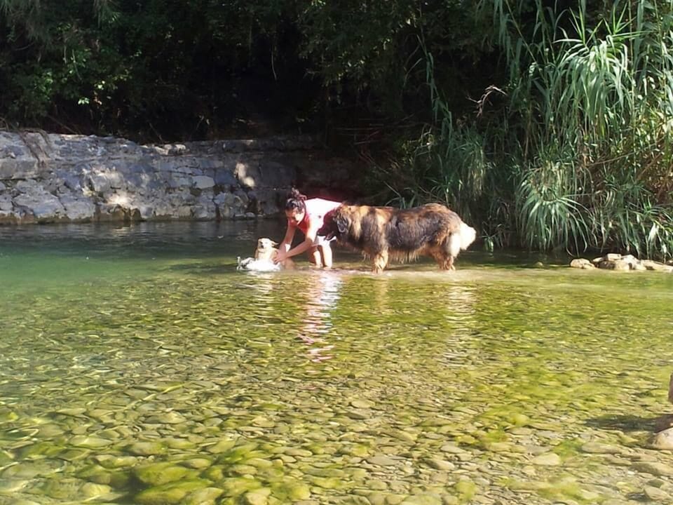 Ecotours
