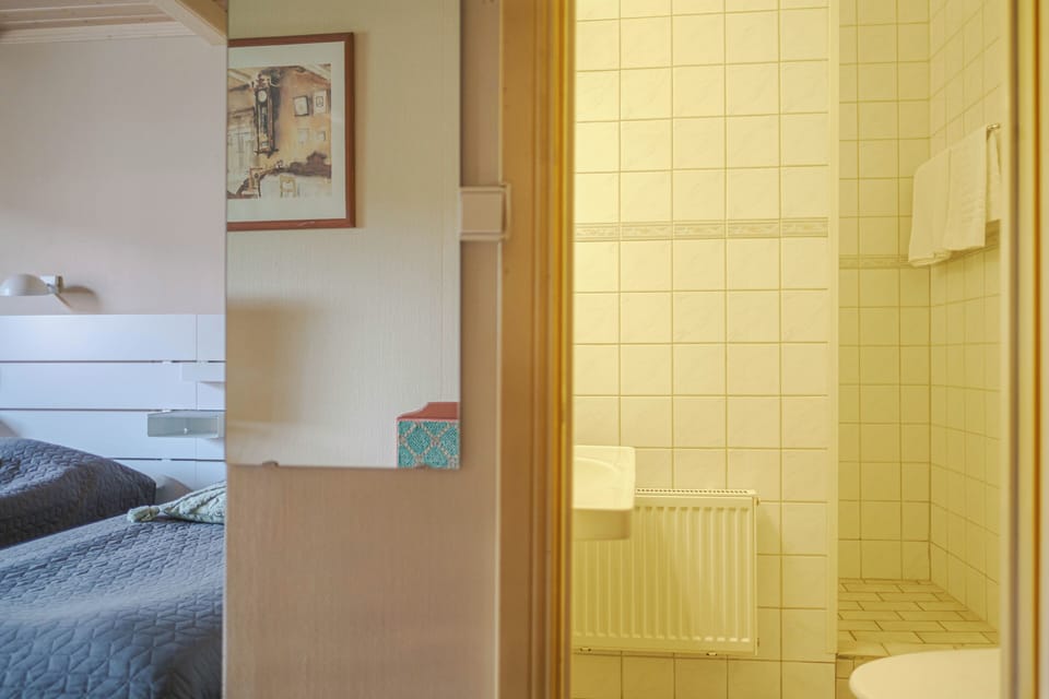 Standard Double or Twin Room, 2 Twin Beds, Non Smoking, Garden View | Bathroom | Shower, hair dryer, towels, soap