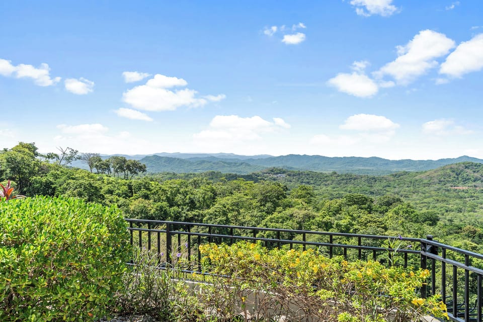Where the views come to you.