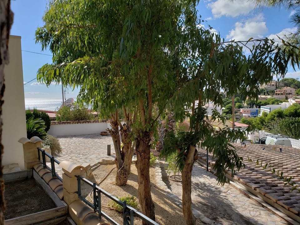 garden facing entrance 