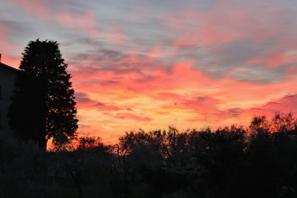 PASSERO:Peaceful farmhouse close to Tuscany 's best treasures, 1 mile from shops Apartment in Tuscany