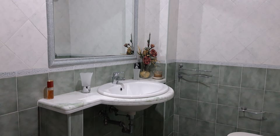 Shower, free toiletries, hair dryer, bidet