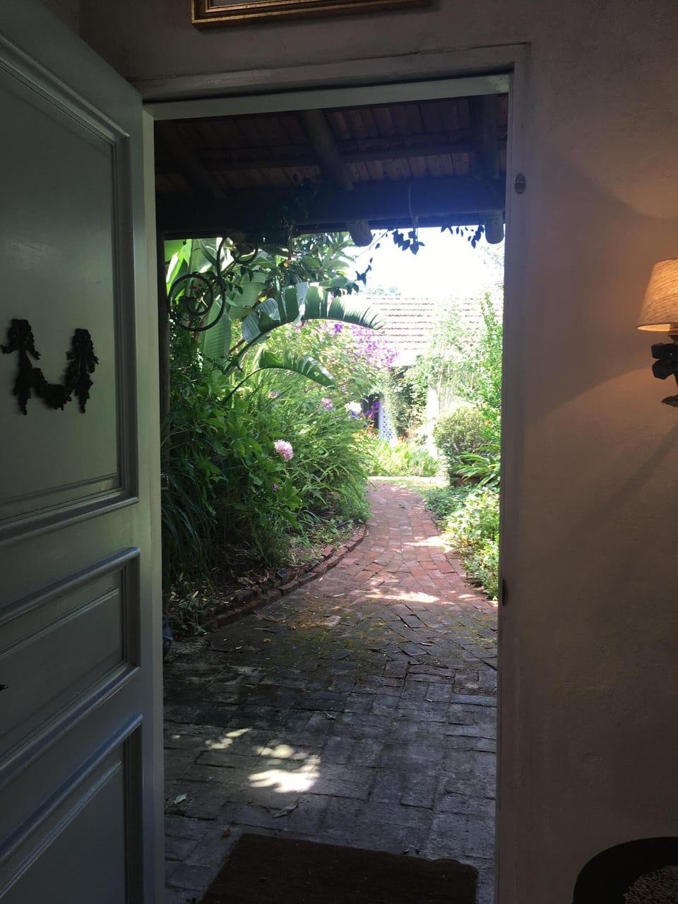 looking out the front door