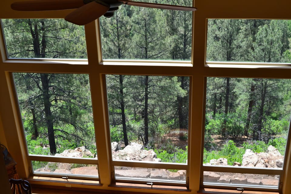Main Room Wall of Windows to canyon 